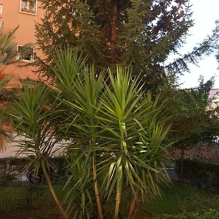 C'e Posto Per Te Daire Roma
